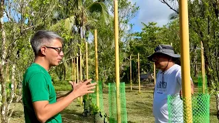 Kinalimutan na ang Paminta Farming, Buhayin ulit Gamit ang New Technology