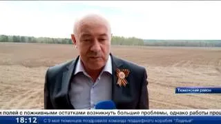 В Тюменской области 2 000 га уже засеяны зерновыми и зернобобовыми культурами