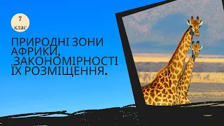 Природні зони Африки, закономірності їх розміщення