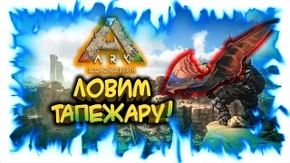 Ark: Scorched Earth! Ловим Тапежару!