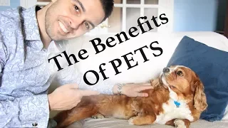 8 Awesome BENEFITS Of Having PETS | Being A Pet Owner