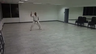 T.N.T. Ryu no Tate jutsu O-Naihanchi Kata