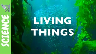 Living and Non-Living Things | Science for KIDS!