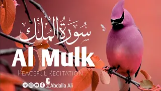 Surah Al Mulk(THE KINGDOM) || سورة الملك || The Best Recitation & Peaceful.