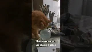 Кот мешает рисовать #кот#котхудожник#художниккрасноярск#художник