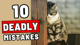 12 Habits That Are SLOWLY KILLING Your Cat