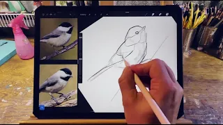 Procreate Tutorial - Sketching for Watercolour Painting