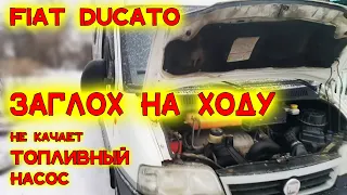 Fiat Ducato Заглох на ходу, Не качает топливный насос, Не заводится двигатель, Перетертые провода