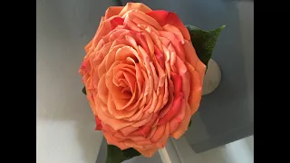How to make a Carmen (composite) rose