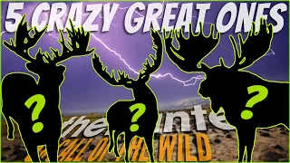 5 Insane Great Ones You MUST SEE! Moose, Fallow Deer, & More! Call of the wild