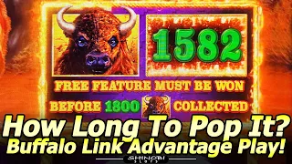 Buffalo Link Advantage Play! How Long To Pop It? At Buffalo Bill's Casino with @BarbaraPlayinSlots !