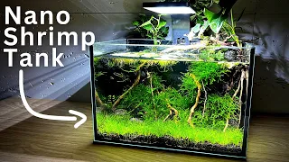 How To Make No filter Nano Shrimp Tank! | Step-by-step tutorial