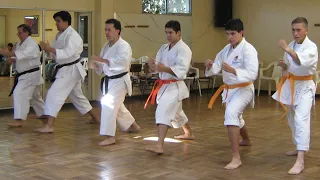 Karate Shotokan entrenamiento para todos