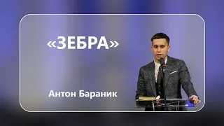 Антон Бараник - "Зебра" - 18-02-2023