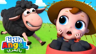 خ خ خروف أسود | اغاني أطفال | Little Angel Arabic | Baa Baa Black Sheep