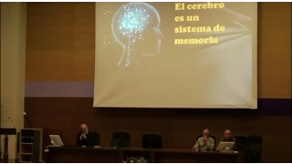 Plasticidad cerebral - Facultad de Psicología - UAM