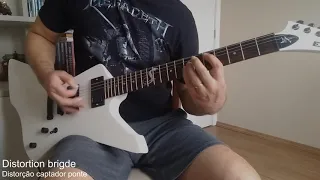 Chinese ESP replica unboxing and test (Snakebyte James Hetfield)