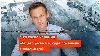 Алексей Навальный в колонии общего режима. Что значит такая тюрьма, в которую посадили Навального?