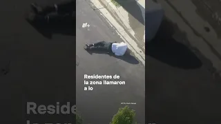 Abejas atacan a policías - N+