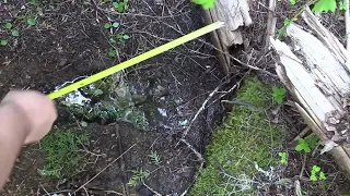 Sasquatch Creature on Video at Bigfoot Sighting Location