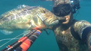 Συναγρίδα (Dentex) 🐟 4.200 kg. Με ψαροντούφεκο. spearfishing.🤿