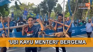 'Ubi kayu, menteri kayu!' - Penyokong PN usung ubi kayu ke pusat penamaan calon