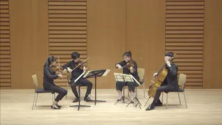F. Schubert String Quartet No.14 in d minor, D810 "Death and the Maiden" I. Allegro