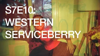 S7E10: Feeling Rusty (Western Serviceberry)