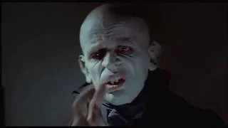 Werner Herzog's NOSFERATU (Northern Star, Hole)