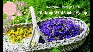 Create Your Own Homemade Wild Violet Syrup