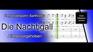 Die Nachtigall (F. Mendelssohn Bartholdy) – Alt hervorgehoben / alto enhanced