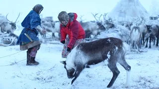 BBC Living with Nomads 2/3 Siberia
