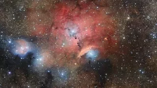 Amazing Space: Stellar Nursery Blooms into View
