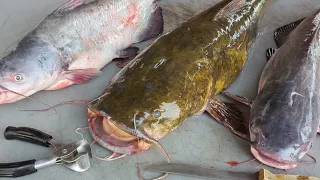 How To Skin & Cut up Catfish PawPaw's OLD SCHOOL Way!!! (Cleaning Blue & Flathead Catfish)