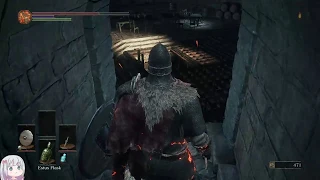 [DS3] 100% equip load over-encumbered run (Part 1)