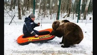 最萌機師！小熊流浪機場被收養，飛行員每天花兩小時陪它冬眠