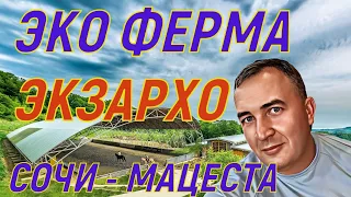 ЭКО Ферма ЭКЗАРХО. Сочи - Мацеста. Что там делать зимой?