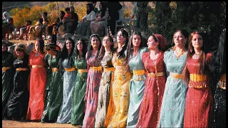 Şiyar Berwari -  Andaç Köyü Düğünü Govenda Cida [ 2023 ©  ] شيار برواري Wedding