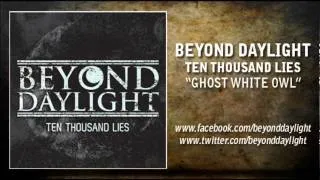 Beyond Daylight - Ghost White Owl
