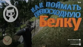 Как создать стрелы для мелкой дичи и подстрелить белку в Red Dead Redemption 2