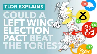 Could a Left Wing Pact Beat the Tories? Should Labour, the Lib Dems and SNP Team Up - TLDR News