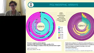 Completing the Human Genome: The Progress and Challenge of Satellite DNA Assembly