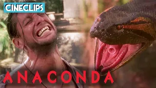 Mateo Is Constricted By KILLER Anaconda! | Anaconda | CineClips