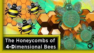 The Honeycombs of 4-Dimensional Bees ft. Joe Hanson | Infinite Series