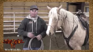 Rodeo Training - How to Start Calf Roping