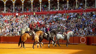 SEVILLA 2024 - 8va de abono | Paseíllo de Sergio Galán, Diego Ventura y Guillermo Hermoso de Mendoza