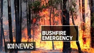 Homes destroyed, people trapped as NSW burns | ABC News