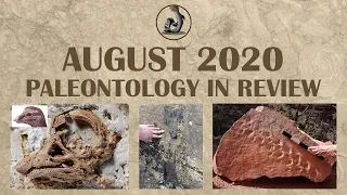 New Fossils and Paleontology- August 2020