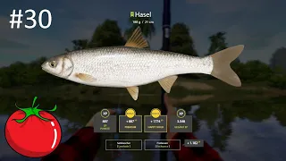 Lauben und Hasel Hotspot am Windenbach | Russian Fishing 4 #30