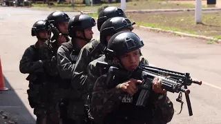 Nascimento de um Comandos.